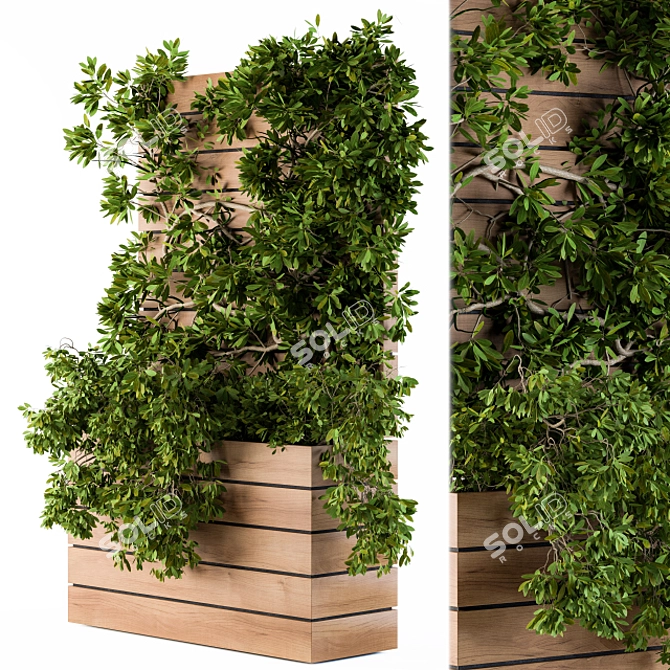 Lush Ivy Plants for Stylish Plant Boxes 3D model image 1