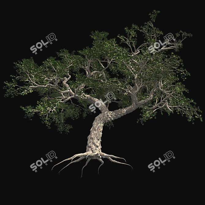 Japanese Maple Tree: Premium Quality 3D model image 3