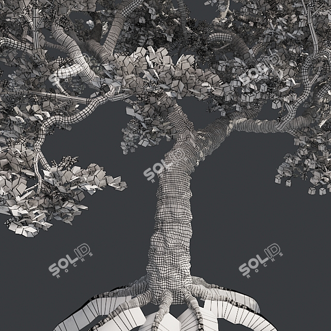 Japanese Maple Tree: Premium Quality 3D model image 5