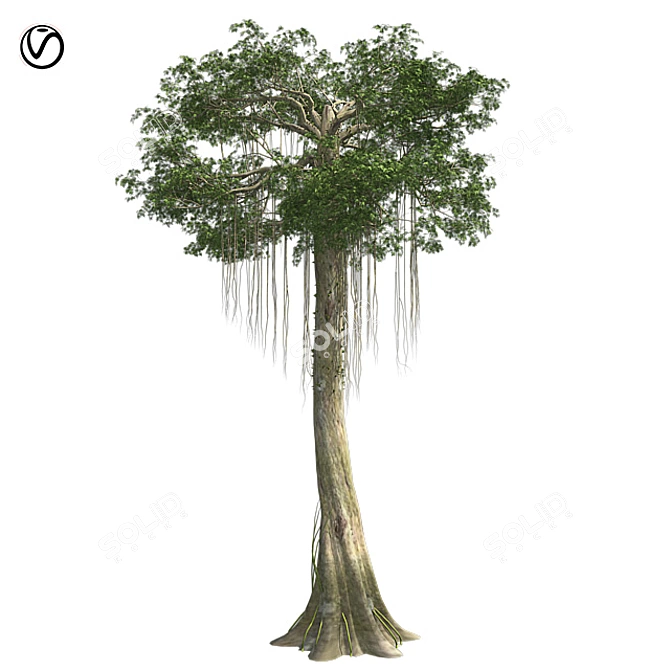 Optimized Kapok Tree 3D Model 3D model image 1