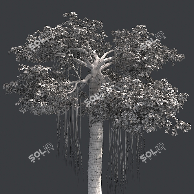 Optimized Kapok Tree 3D Model 3D model image 5