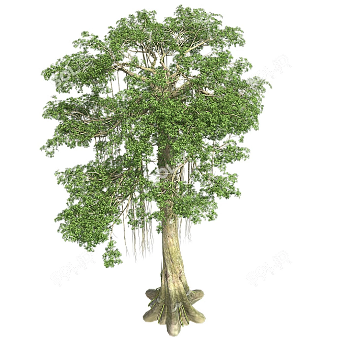 Optimized Kapok Tree 4K Textures 3D model image 3