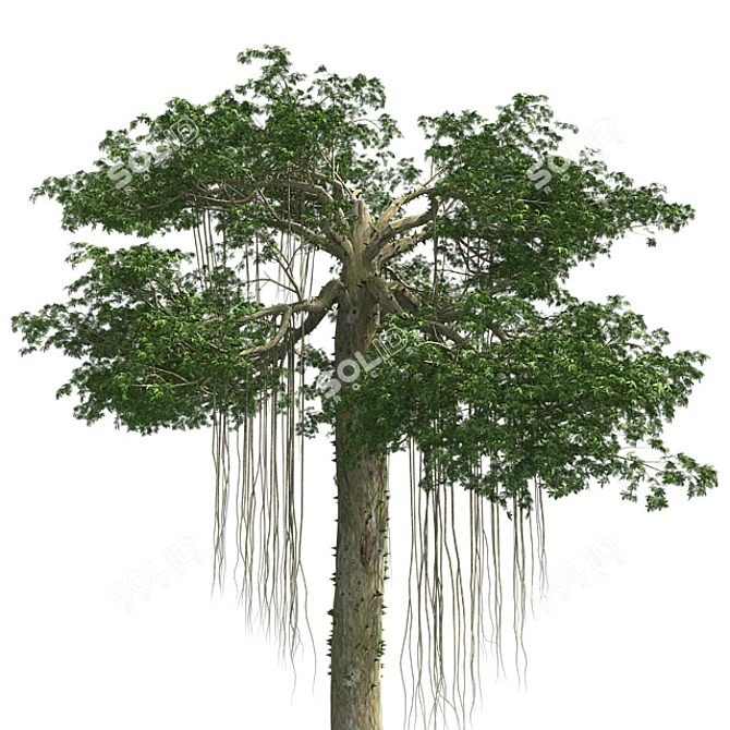 Optimized Kapok Tree 4K Textures 3D model image 4