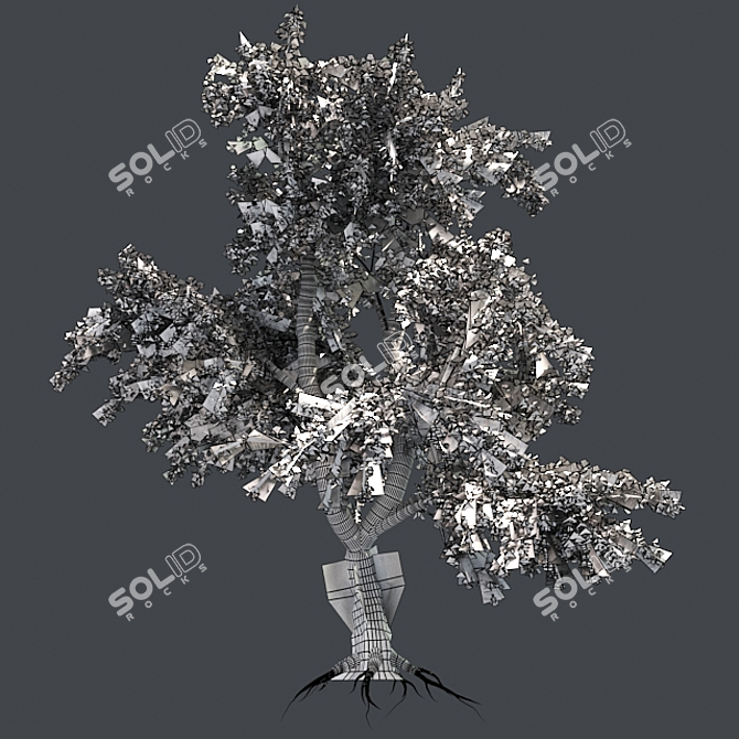 Zen Garden Katsura Tree 3D model image 5