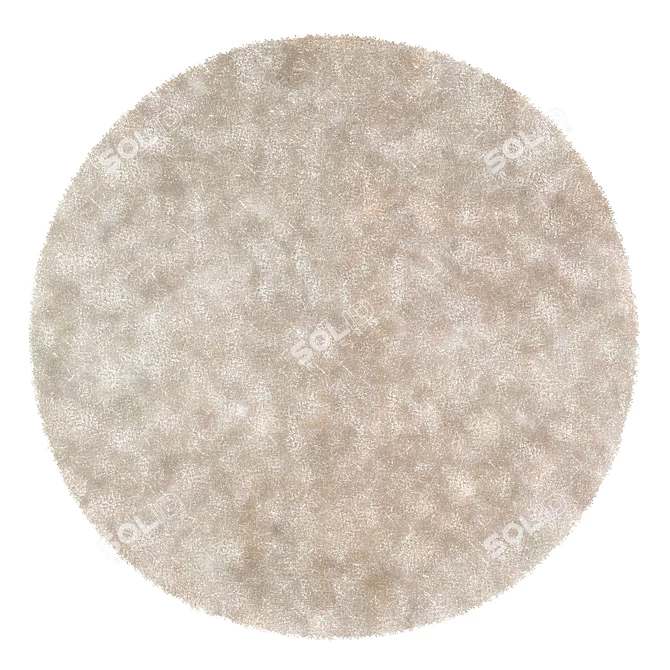 Modern Round Rug 08 3D model image 2