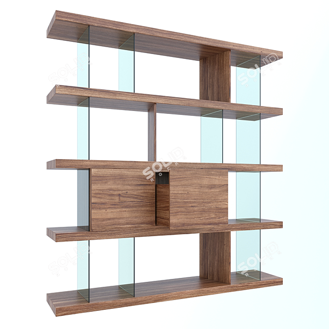 Elegant Walnut Shelving With Drawers 3D model image 1