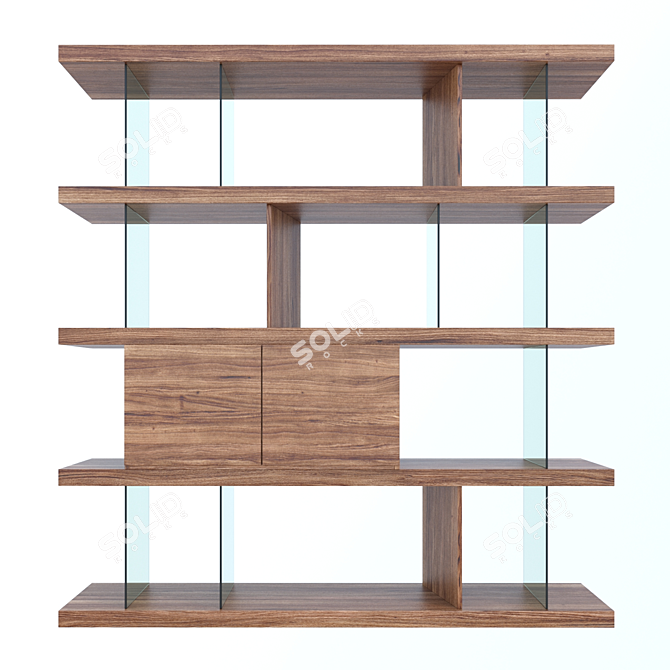 Elegant Walnut Shelving With Drawers 3D model image 2