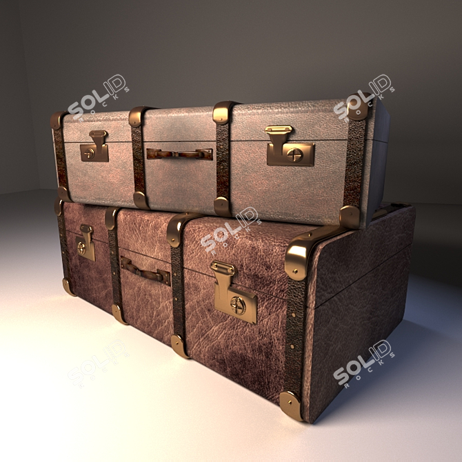 Leather Travel Bags 3D model image 1