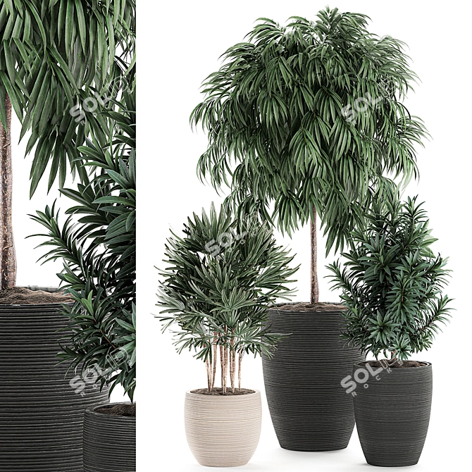 Exotic Plant Collection: Rhapis, Ficus, Nerium 3D model image 1