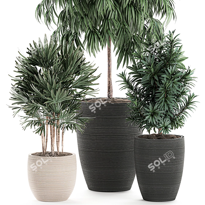 Exotic Plant Collection: Rhapis, Ficus, Nerium 3D model image 2