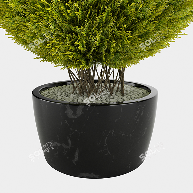 Giant Thuja Folding Planter 3D model image 2