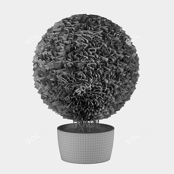 Giant Thuja Folding Planter 3D model image 3