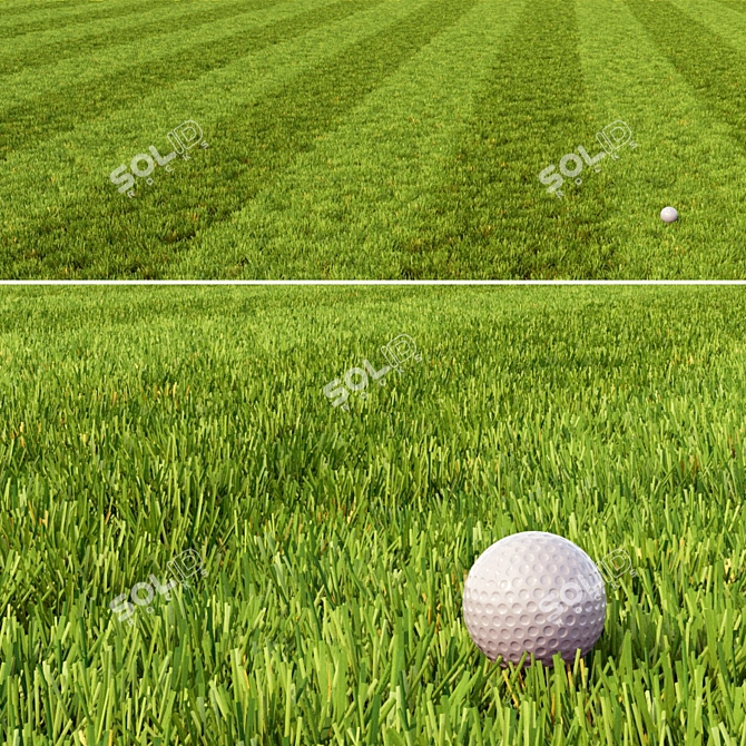 Manicured Greenery Set 3D model image 5