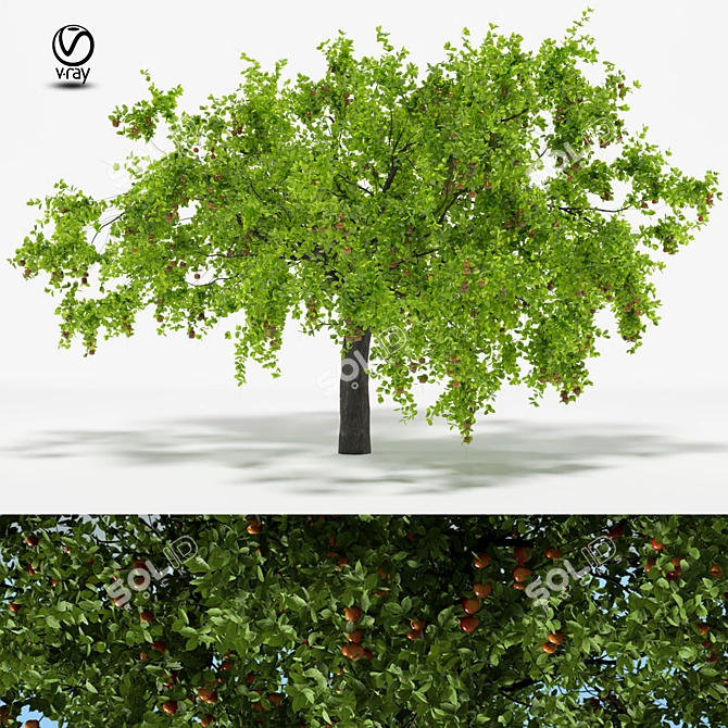 Vintage Apple Tree 5S: 2014 3D Model 3D model image 1