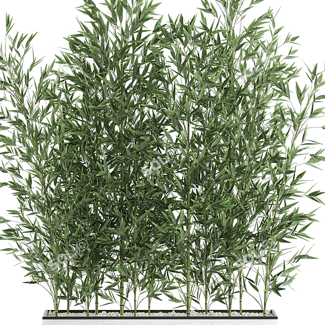 Exotic Bamboo Plant in White Vase 3D model image 3