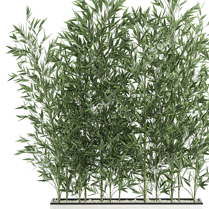 Exotic Bamboo Plant in White Vase 3D model image 4