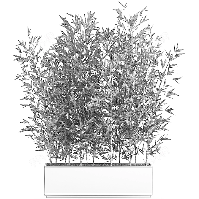 Exotic Bamboo Plant in White Vase 3D model image 5