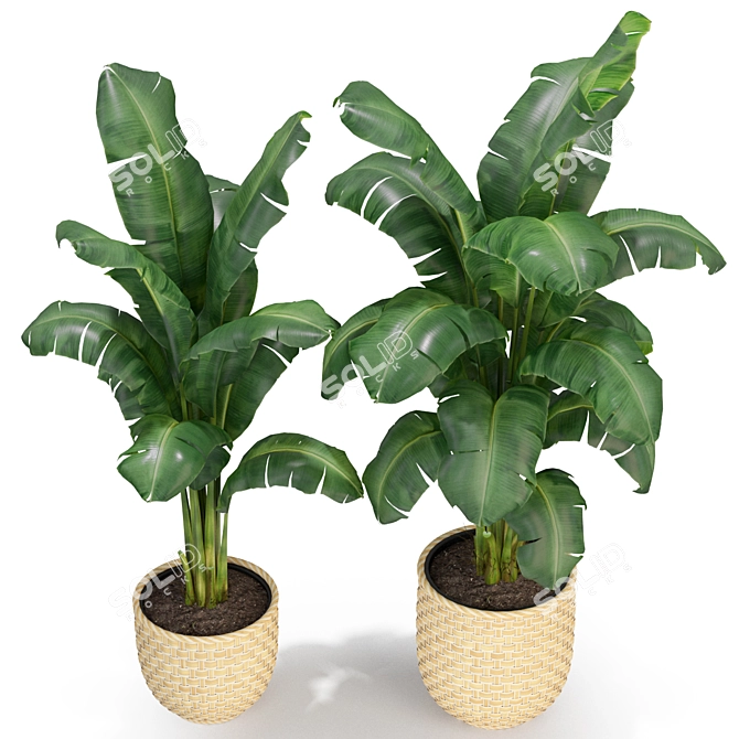 Green Oasis: Plant Collection 314 3D model image 2