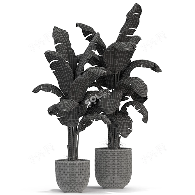 Green Oasis: Plant Collection 314 3D model image 3