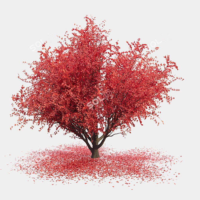 Sculpted Landscape Tree 3D model image 2