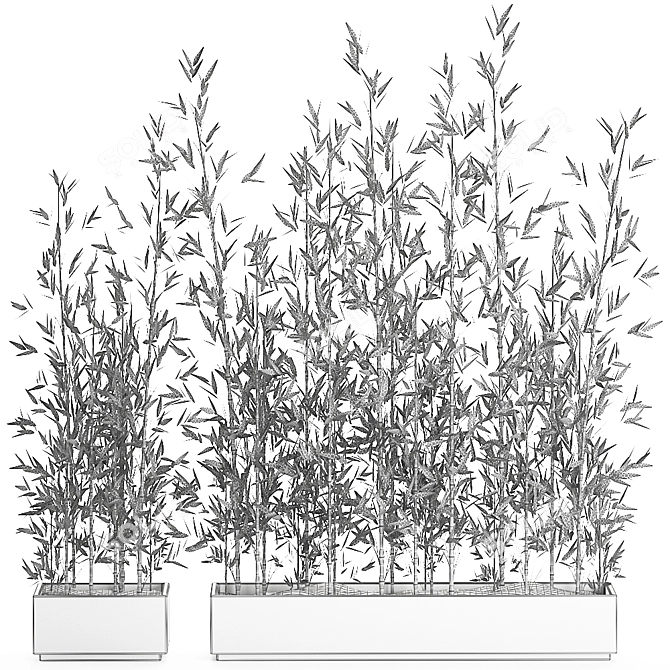 Exotic Bamboo Plant in Black Vase 3D model image 5
