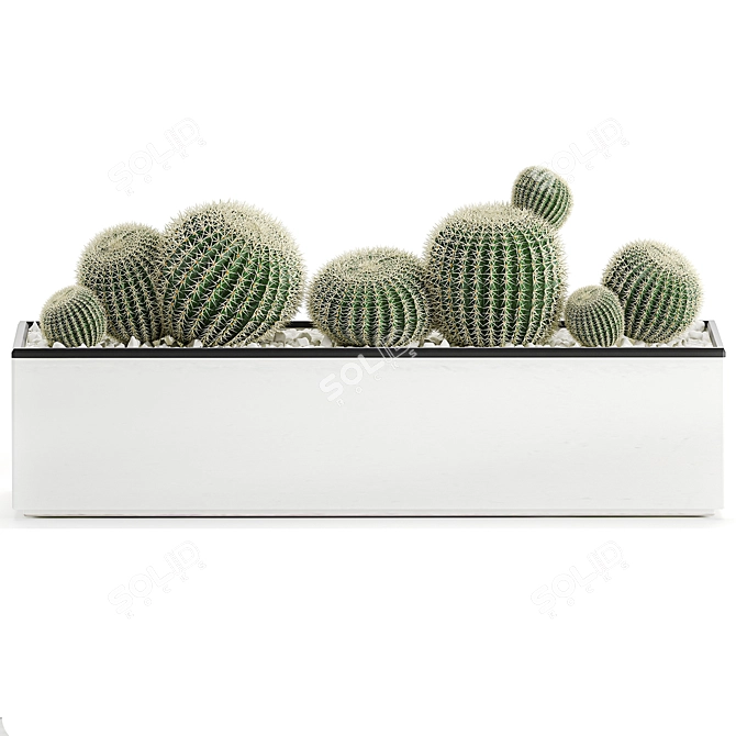 Exotic Cactus Collection in White Pots 3D model image 2