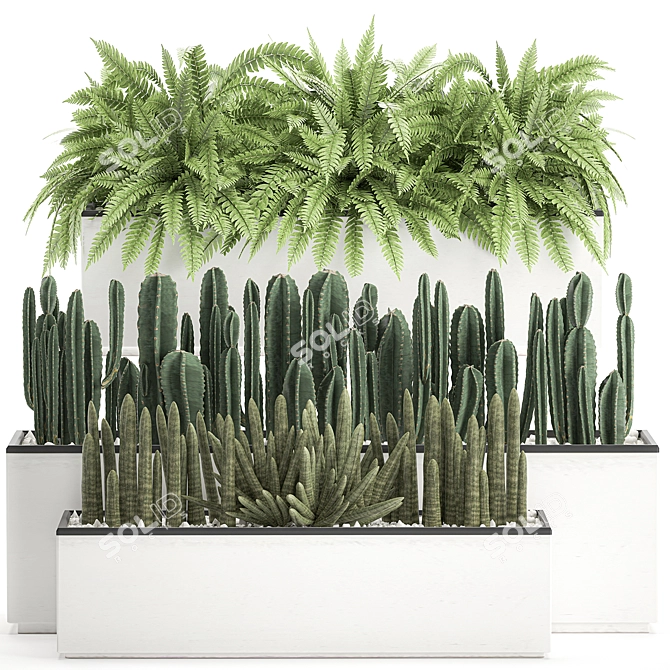 Tropical Plant Collection: Exotic Cacti, Fern, Sansevieria 3D model image 1