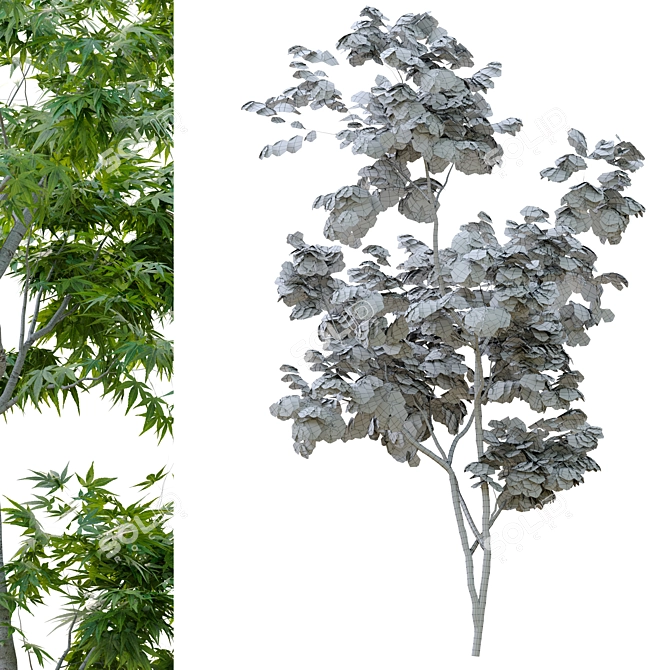 Lush Twin Saplings - 3D Tree Models 3D model image 3