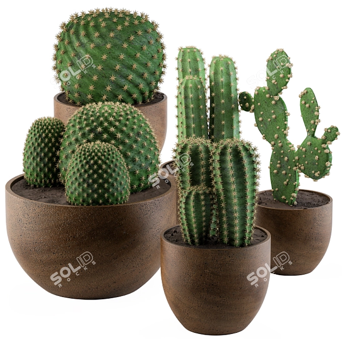 Desert Vibes: Cactus Collection 02 3D model image 1