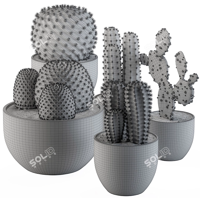 Desert Vibes: Cactus Collection 02 3D model image 2