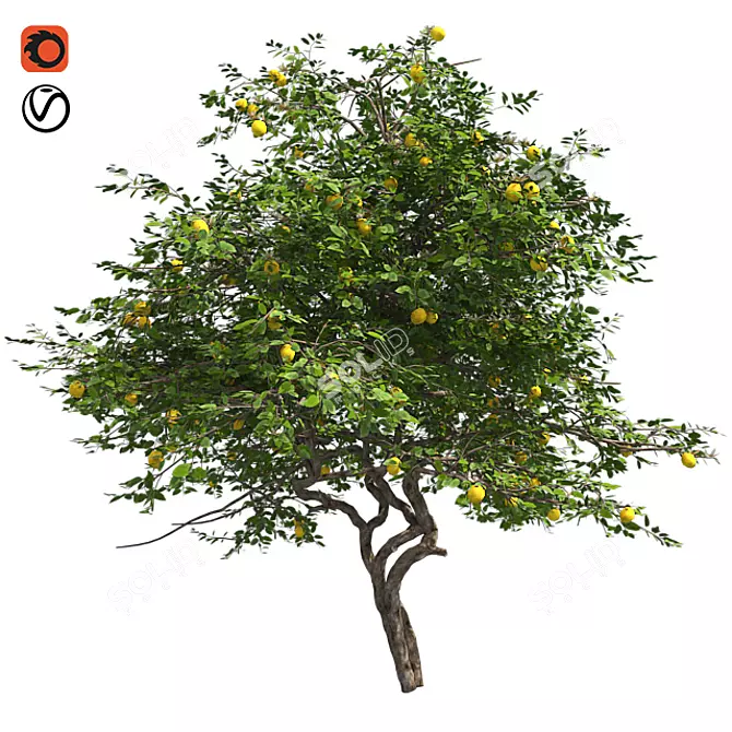 Fruitful Lemon Tree 3D model image 1