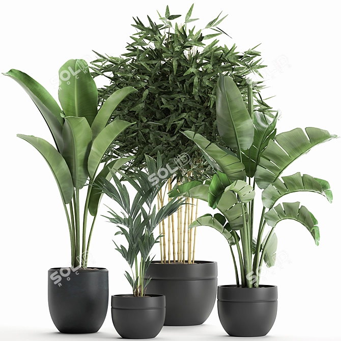 Exotic Indoor Plant Collection in Black Vase 3D model image 1