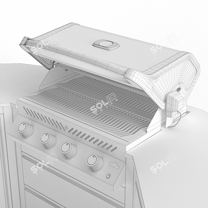 Napoleon Oasis Modular Grill Kitchen 3D model image 3