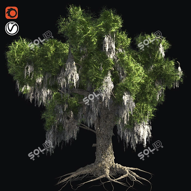 Optimized Live Oak Tree 3D model image 1