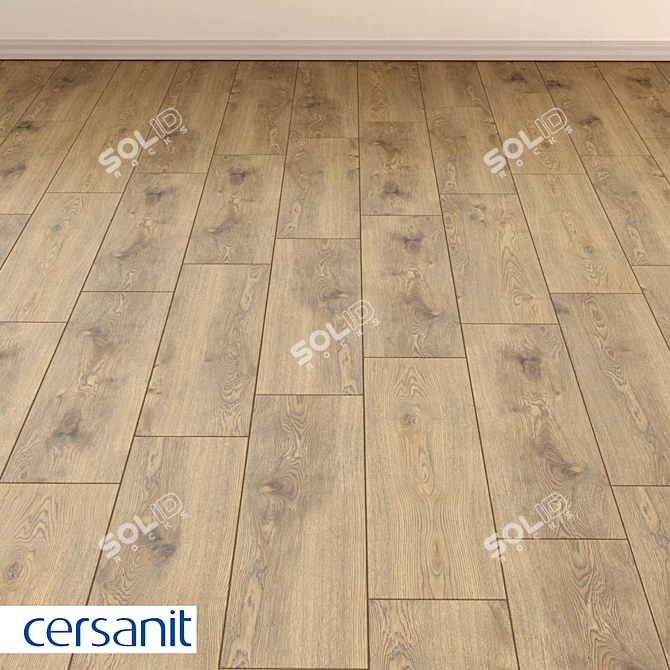 Rustic Wood Concept Porcelain Stoneware 3D model image 1