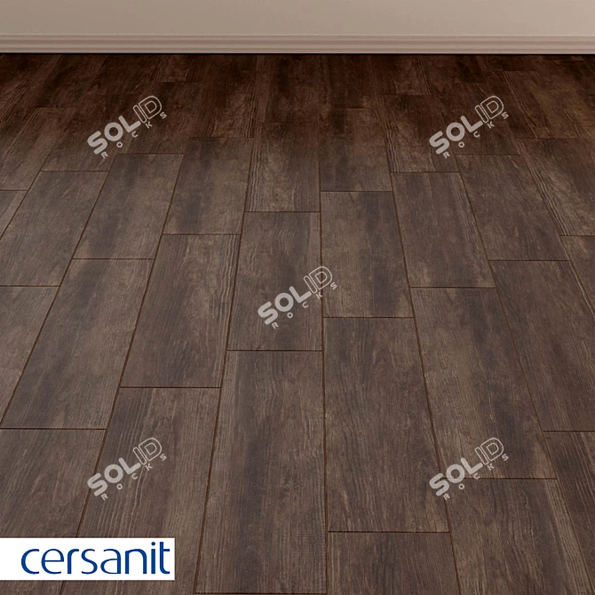 Rustic Wood Concept Porcelain Stoneware 3D model image 3