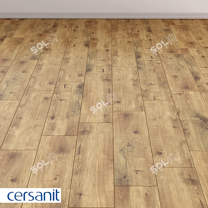 Rustic Wood Concept Porcelain Stoneware 3D model image 4