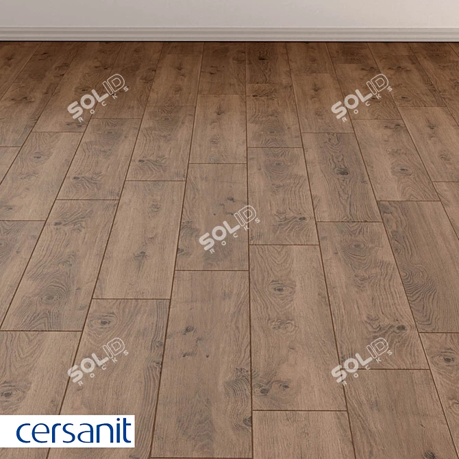 Rustic Wood Concept Porcelain Stoneware 3D model image 5