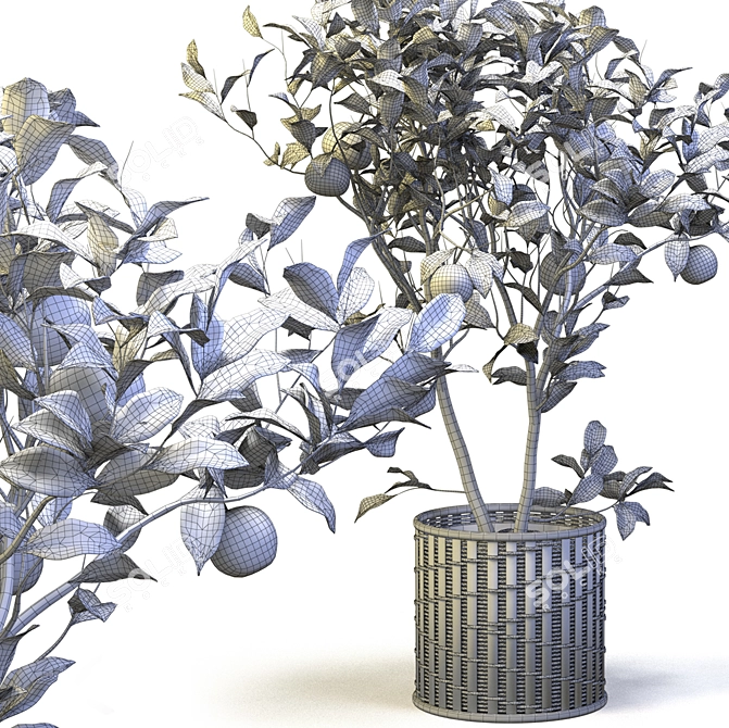 Tangerine Bliss: Mini Mandarin Tree in Woven Planter 3D model image 4