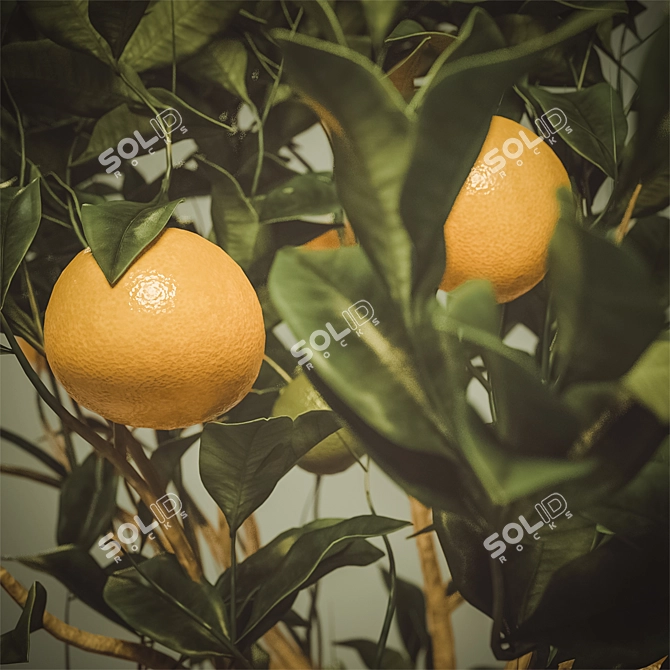 Tangerine Bliss: Mini Mandarin Tree in Woven Planter 3D model image 5