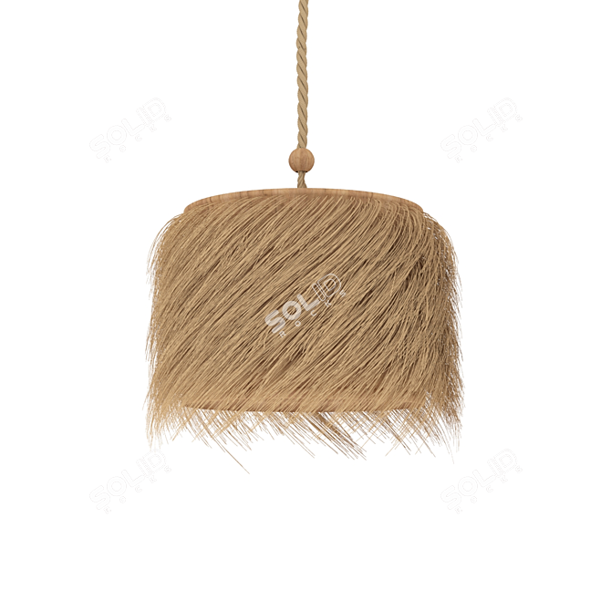 Natural Rattan Lamp Shade 3D model image 2