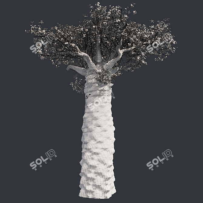 Exquisite Madagascan Baobab Tree 3D model image 5