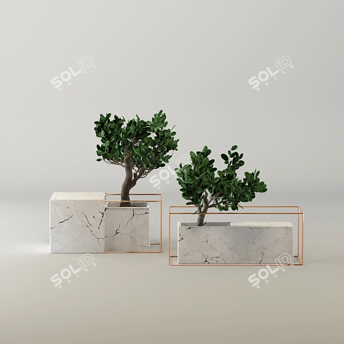 Marble Zen Bonsai Collection 3D model image 2