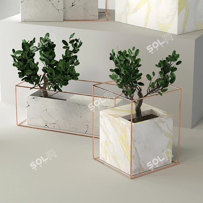 Marble Zen Bonsai Collection 3D model image 5