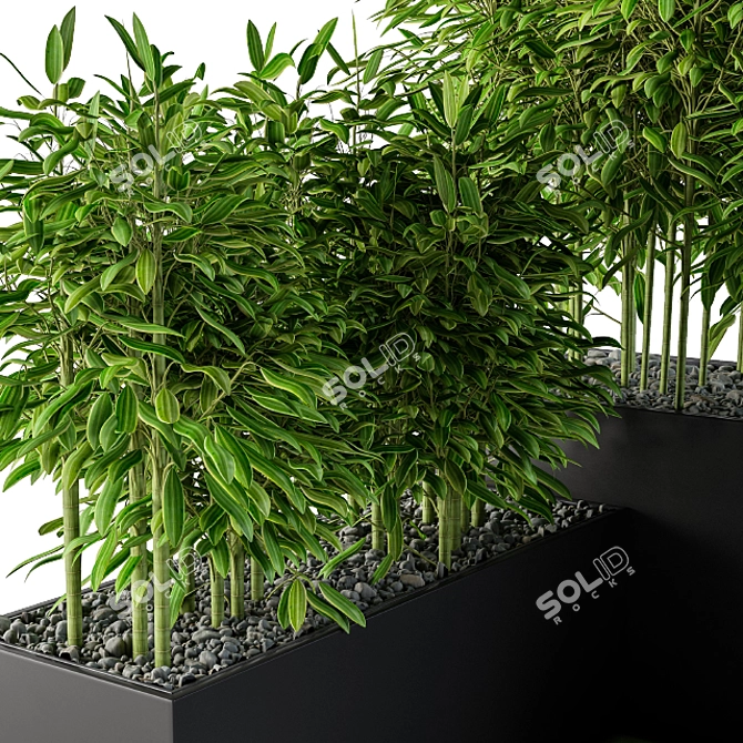 Bamboo Haven: Lush Plant Box 3D model image 2