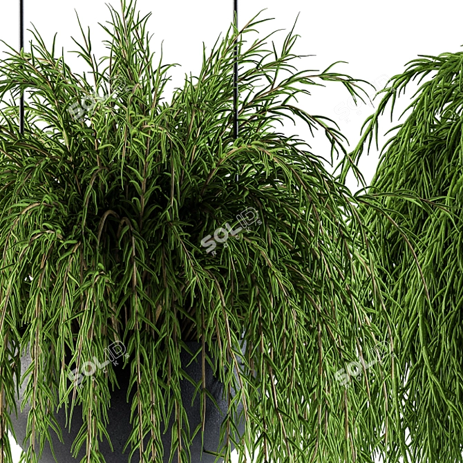 Spherical Hanging Plant Pot 3D model image 2