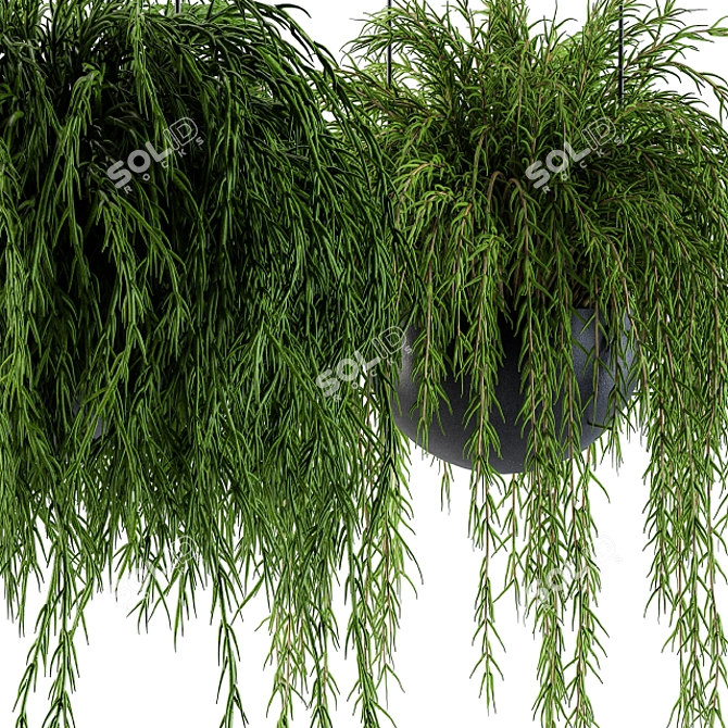 Spherical Hanging Plant Pot 3D model image 3