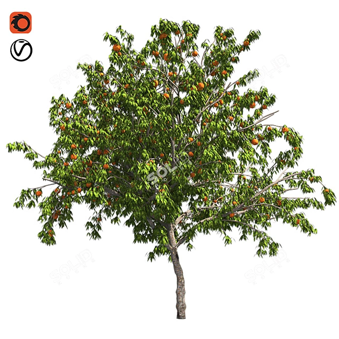  Luscious Peach Tree: Realistic and Fully Textured 3D model image 1