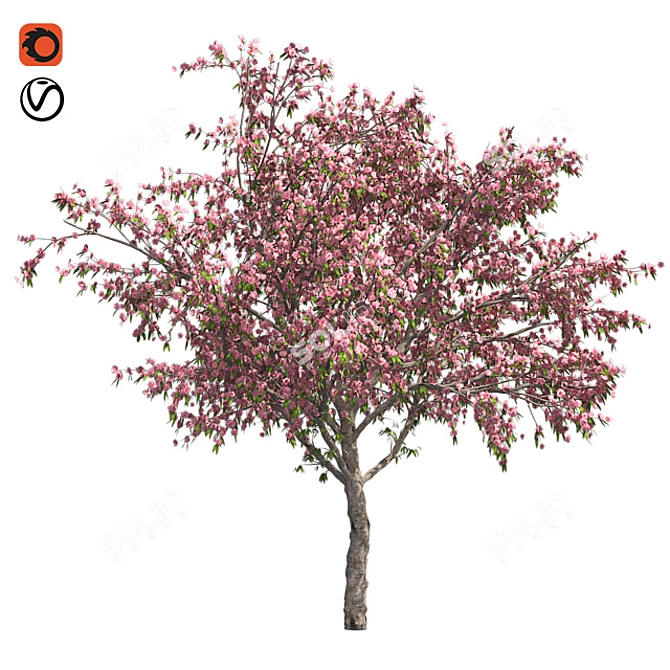 Pristine Blossom: Ultimate Spring Tree 3D model image 1