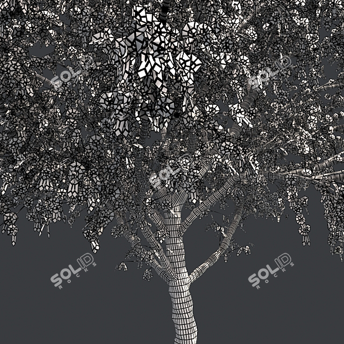 Pristine Blossom: Ultimate Spring Tree 3D model image 5